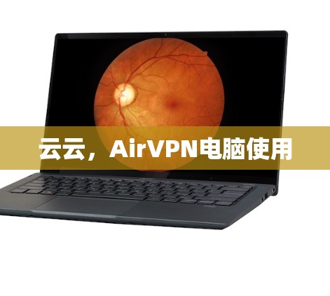 云云，AirVPN电脑使用