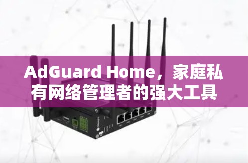 AdGuard Home,家庭私有网络管理者的强大工具 AdGuard Home,家庭私有网络管理者的强大工具