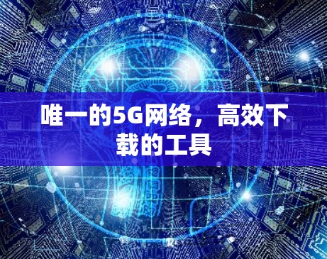 唯一的5G网络，高效下载的工具
