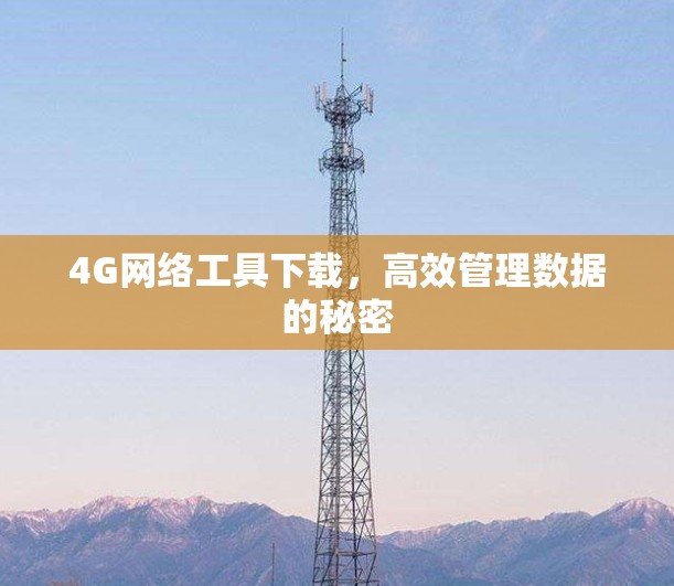 4G网络工具下载，高效管理数据的秘密