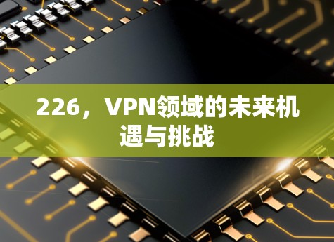 226，VPN领域的未来机遇与挑战