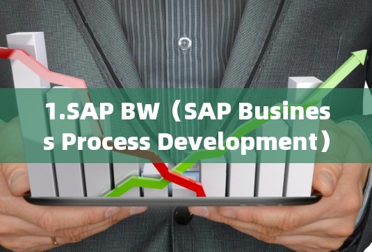 1.SAP BW(SAP Business Process Development) 1.SAP BW(SAP Business Process Development)