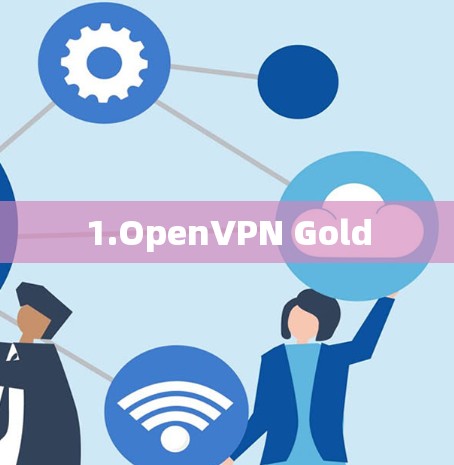 1.OpenVPN Gold