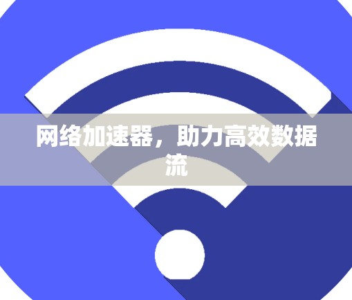 网络加速器，助力高效数据流