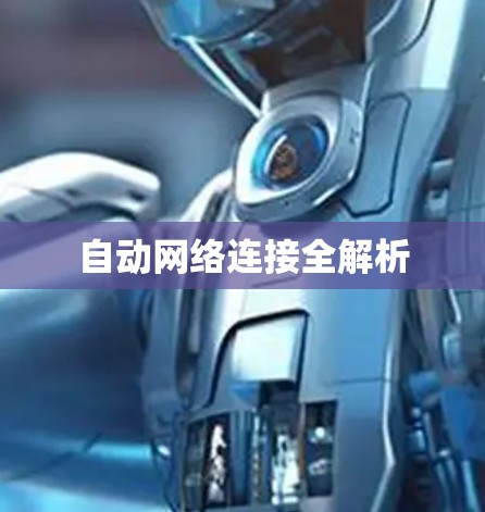 自动网络连接全解析