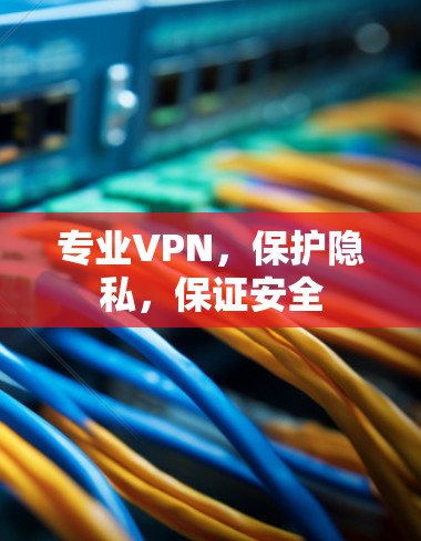 专业VPN，保护隐私，保证安全