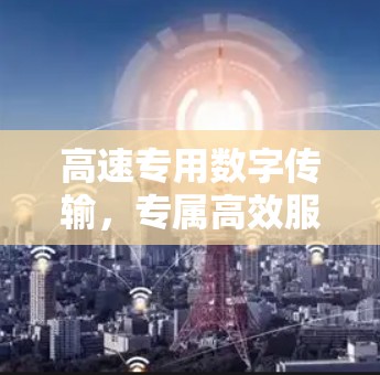 高速专用数字传输，专属高效服务