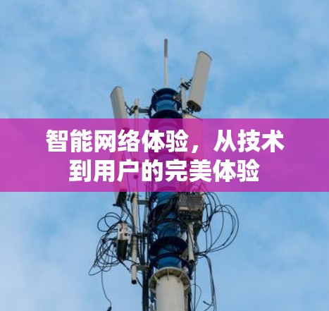 智能网络体验，从技术到用户的完美体验