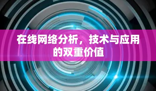 在线网络分析,技术与应用的双重价值 在线网络分析,技术与应用的双重价值