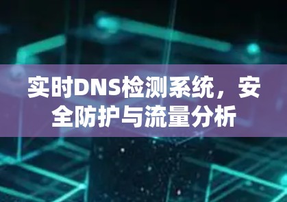 实时DNS检测系统，安全防护与流量分析