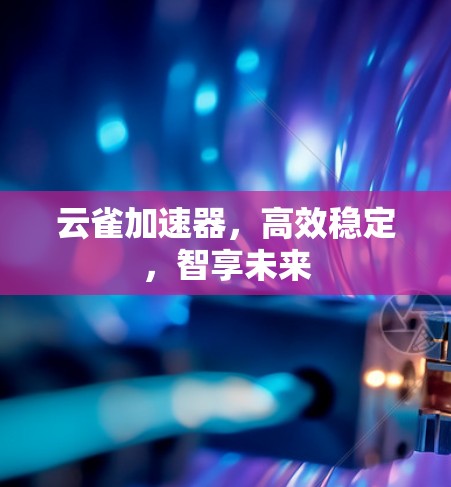 云雀加速器,高效稳定,智享未来 云雀加速器,高效稳定,智享未来