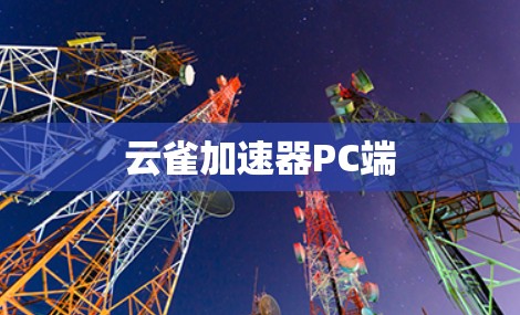 云雀加速器PC端 云雀加速器PC端