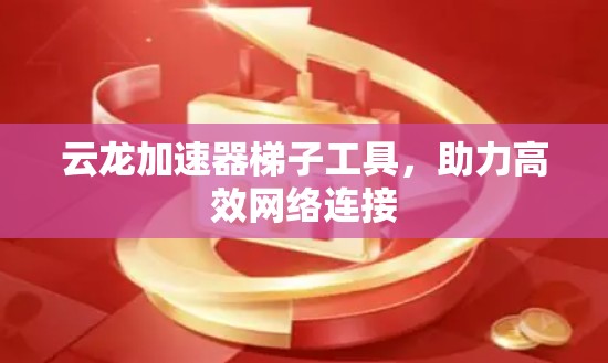 云龙加速器梯子工具，助力高效网络连接
