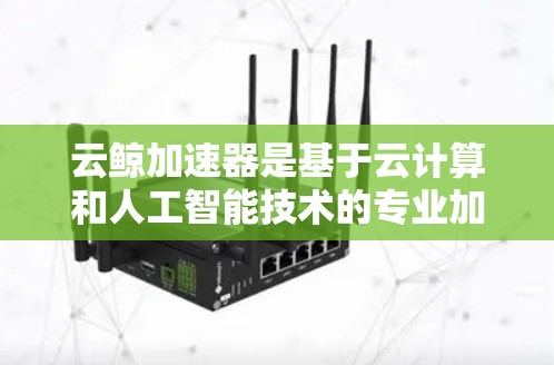 云鲸加速器是基于云计算和人工智能技术的专业加速工具，旨在提升AI模型和数据处理的速度和效率。以下是关于云鲸加速器的详细信息
