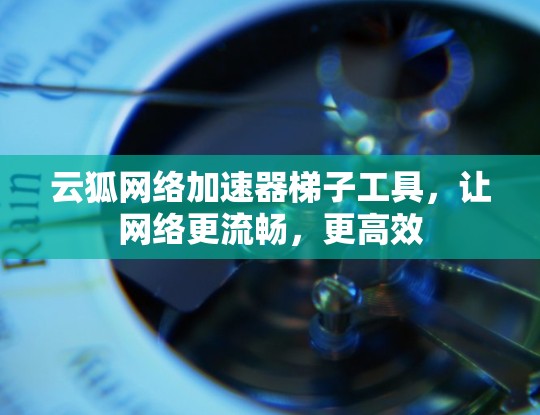 云狐网络加速器梯子工具,让网络更流畅,更高效 云狐网络加速器梯子工具,让网络更流畅,更高效