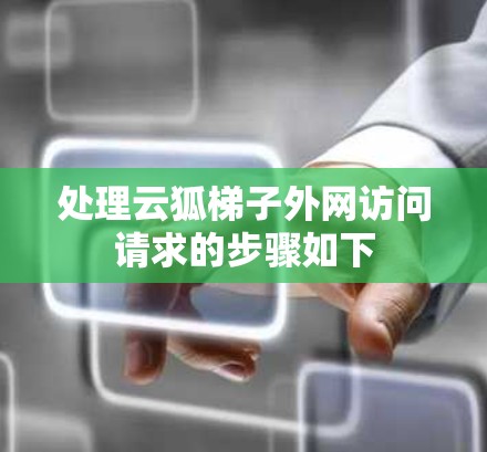 处理云狐梯子外网访问请求的步骤如下