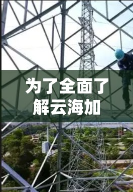 为了全面了解云海加速器的测速情况，以下是详细的分析和建议