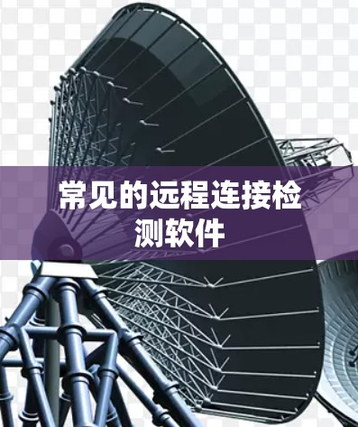 常见的远程连接检测软件