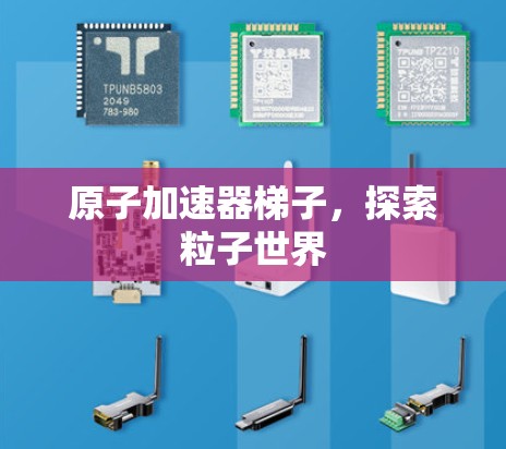 原子加速器梯子，探索粒子世界