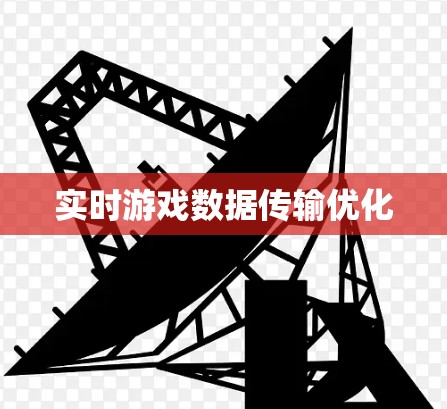 实时游戏数据传输优化 实时游戏数据传输优化