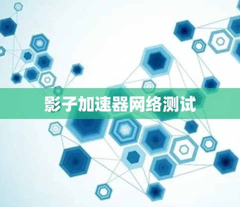 影子加速器网络测试