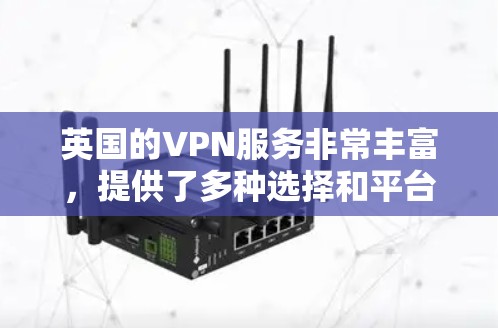 英国的VPN服务非常丰富，提供了多种选择和平台，以满足不同用户的需求。以下是一些主要的英国VPN线路和平台