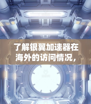 了解银翼加速器在海外的访问情况，可以从以下几个方面进行系统的研究和分析