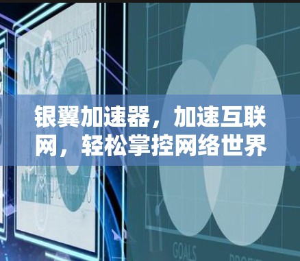 银翼加速器，加速互联网，轻松掌控网络世界