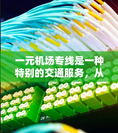 一元机场专线是一种特别的交通服务，从机场出发到特定目的地的一条专用车道，通常用于节省时间或提供便捷服务。以下是对这一概念的详细分析