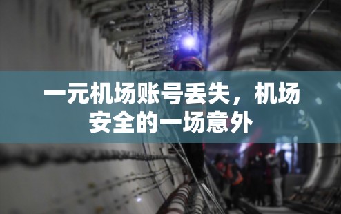一元机场账号丢失，机场安全的一场意外
