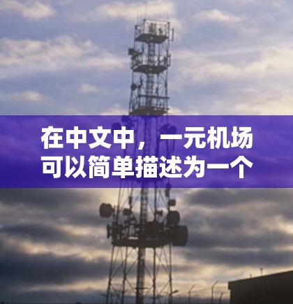 在中文中，一元机场可以简单描述为一个只有一个主要入口的机场，通常位于城市中心，通过单一的机场 terminal 即可进入。以下是一个详细而简洁的中文描述