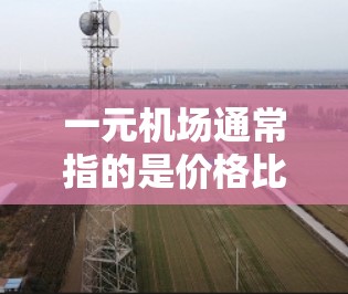 一元机场通常指的是价格比较便宜、设施较为完善的机场，这些机场可能面临经济型机场的兴起，但并非所有机场都是经济型机场。以下是一些关于一元机场的考虑因素