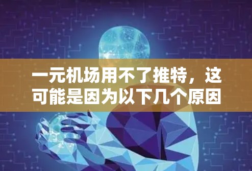 一元机场用不了推特，这可能是因为以下几个原因