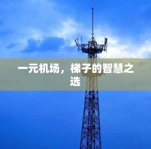 一元机场，梯子的智慧之选