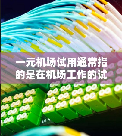 一元机场试用通常指的是在机场工作的试用期，即入职的第一周或几个月。以下是一个关于试用期的详细说明，涵盖一般情况