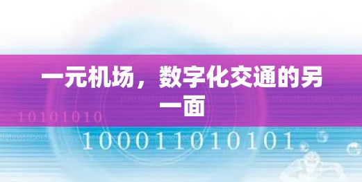 一元机场，数字化交通的另一面