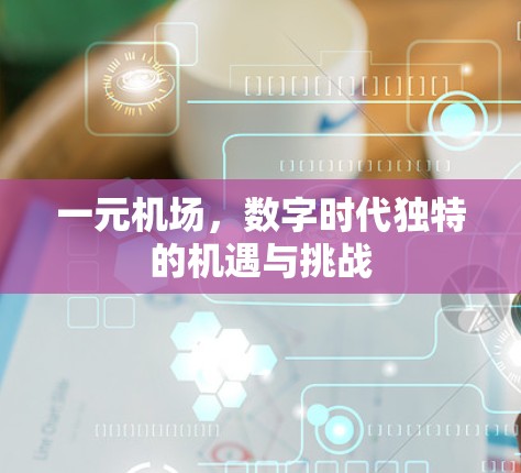 一元机场，数字时代独特的机遇与挑战