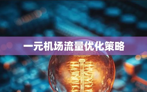 一元机场流量优化策略 一元机场流量优化策略