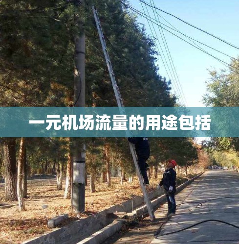一元机场流量的用途包括