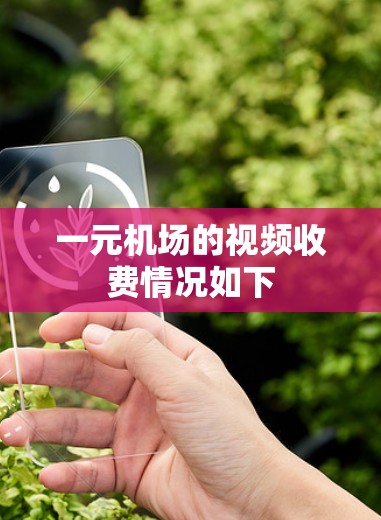 一元机场的视频收费情况如下