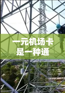 一元机场卡是一种通过电子身份验证的方式，用于支付机场的费用。以下是详细的使用步骤