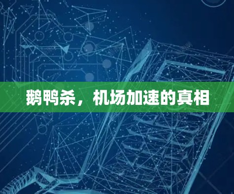 鹅鸭杀,机场加速的真相 鹅鸭杀,机场加速的真相