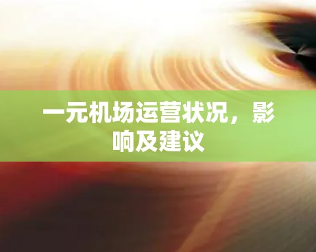 一元机场运营状况，影响及建议