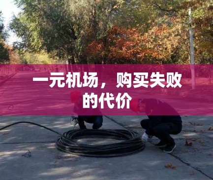 一元机场，购买失败的代价