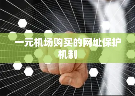 一元机场购买的网址保护机制
