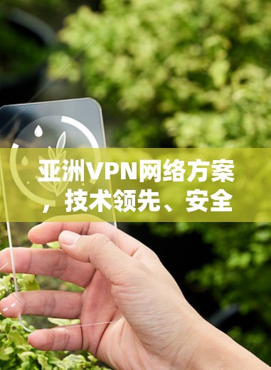 亚洲VPN网络方案，技术领先、安全可靠、市场潜力大