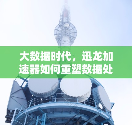 大数据时代，迅龙加速器如何重塑数据处理能力