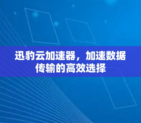 迅豹云加速器，加速数据传输的高效选择
