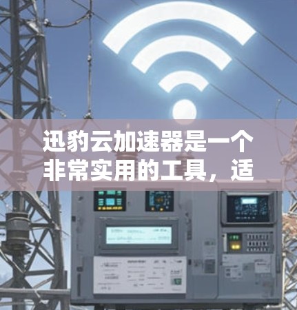 迅豹云加速器是一个非常实用的工具，适合个人用户和偶尔使用云服务的用户。以下是一些使用迅豹云加速器的步骤和注意事项