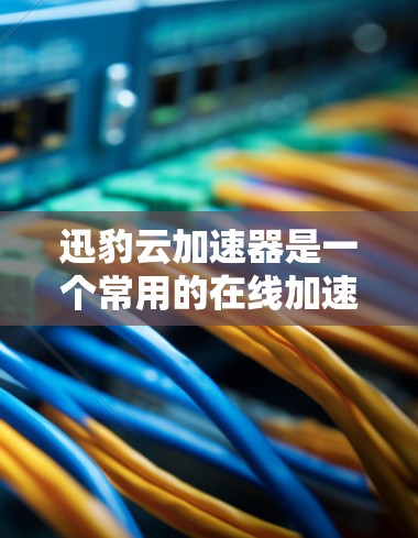 迅豹云加速器是一个常用的在线加速工具，帮助用户下载文件时提升速度。以下是一个详细且结构化的教程，帮助您连接并使用迅豹云加速器